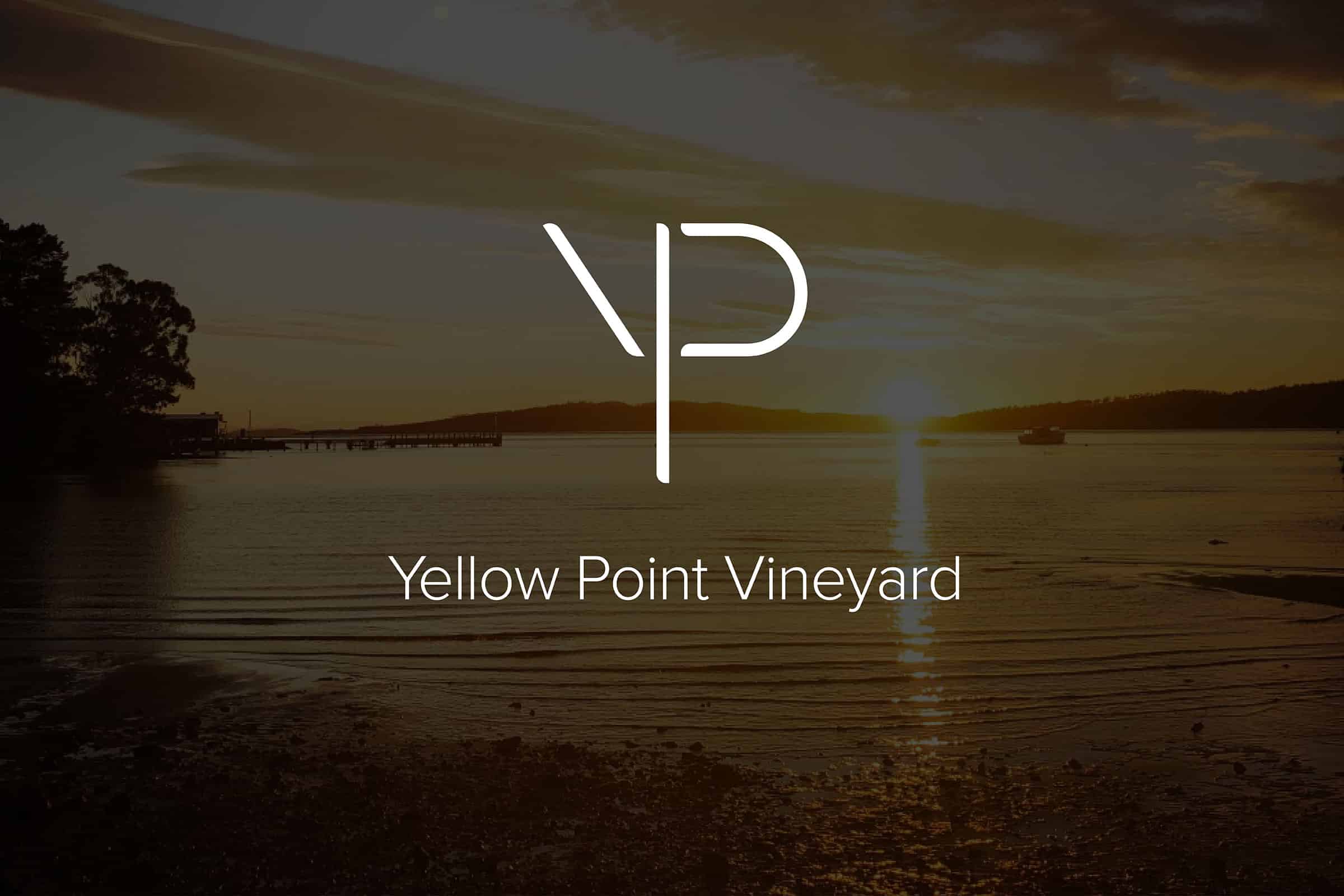 Taffy Design Branding Yellow Point Vineyard